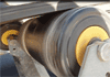 Roller Standard